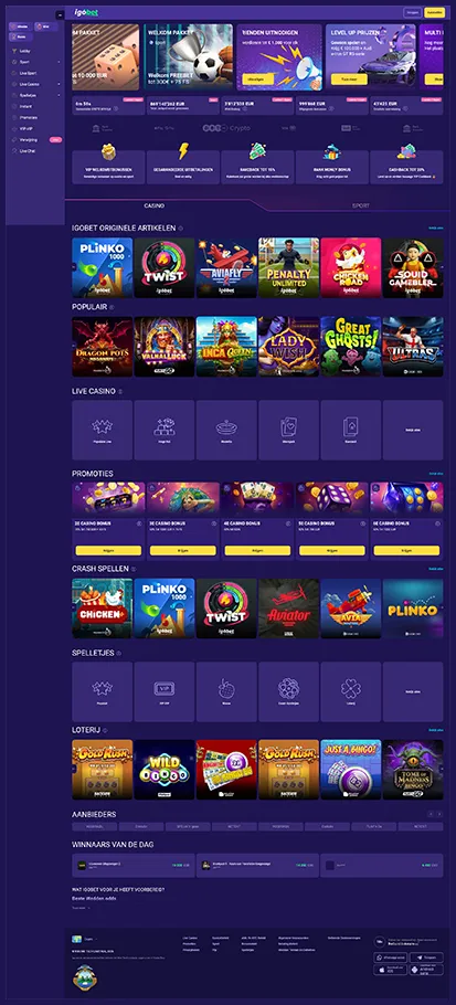 Compact overzicht van de hoofdrubrieken van Bingo Bongo Stars Casino